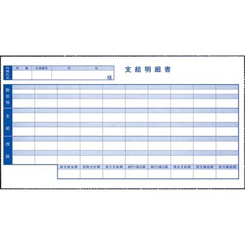オービックビジネスコンサルタント 奉行シリーズ用専用 密封式給与明細書 6016 1個（ご注文単位1個）【直送品】