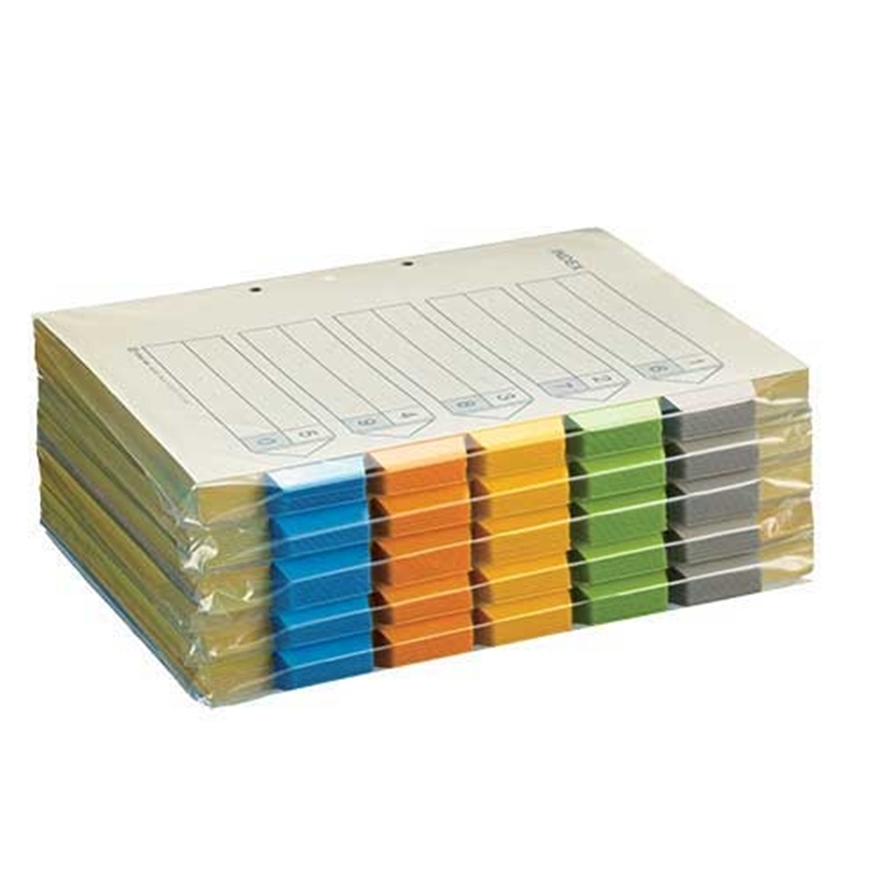 キングジム カラーインデックス 907-100 A4S 100組 1個(ご注文単位1個)【直送品】