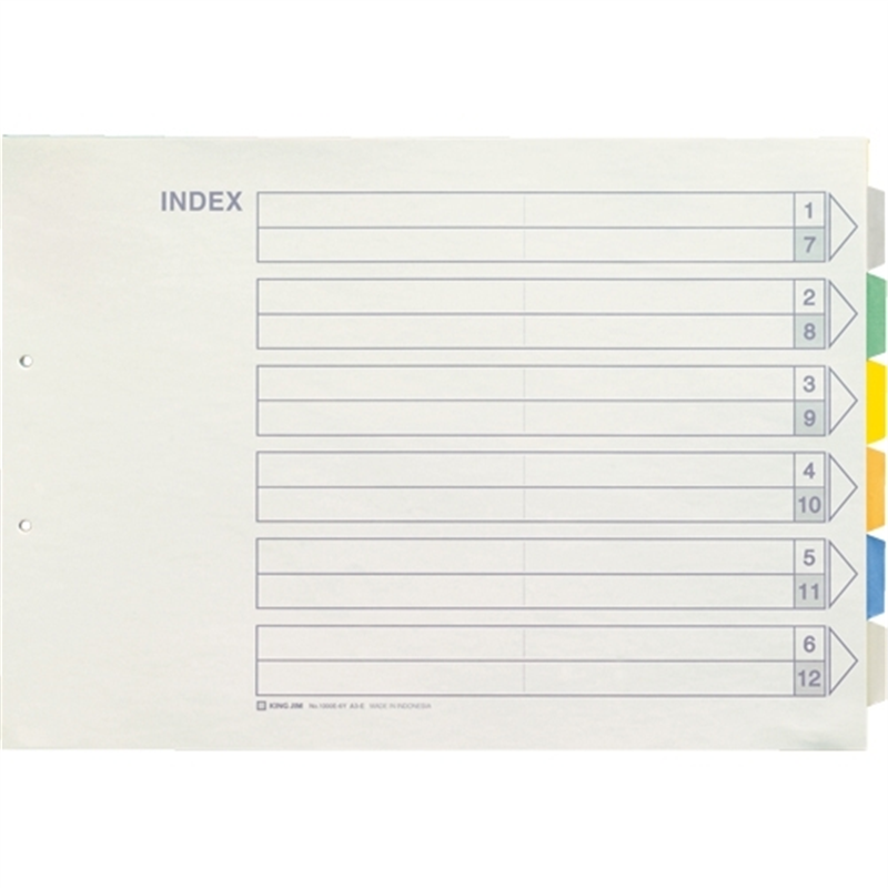 キングジム カラーインデックス A3E 1000E-6Y 1個(ご注文単位1個)【直送品】