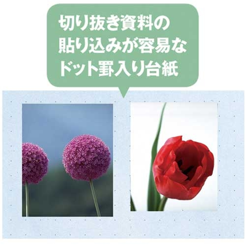 キングジム カラーベースポケット 103CP A4S 赤 1個(ご注文単位1個)【直送品】