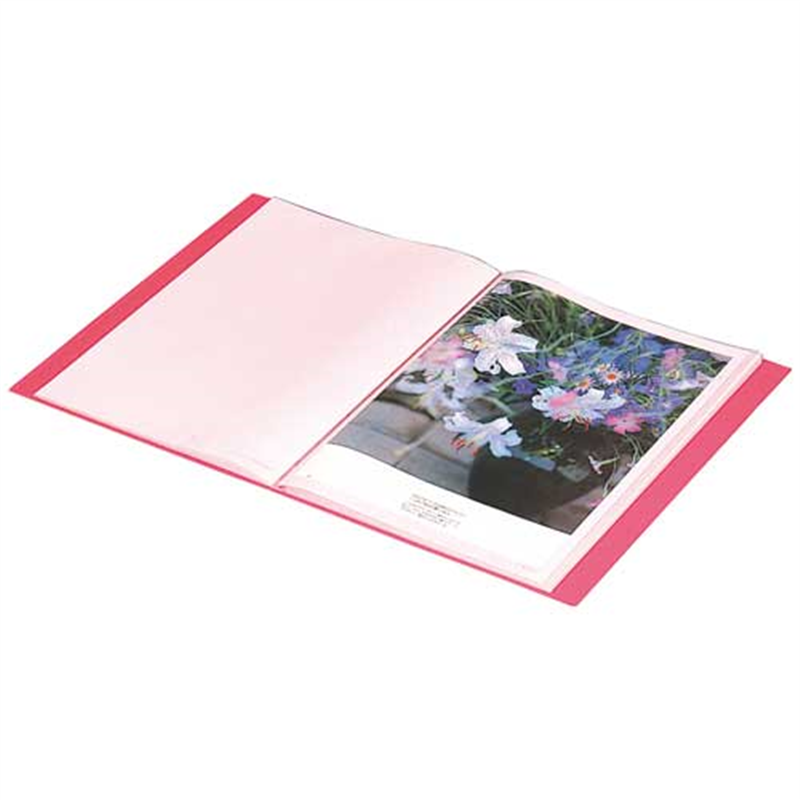 キングジム クリアーファイル 20P 132C A4S 緑 1個(ご注文単位1個)【直送品】