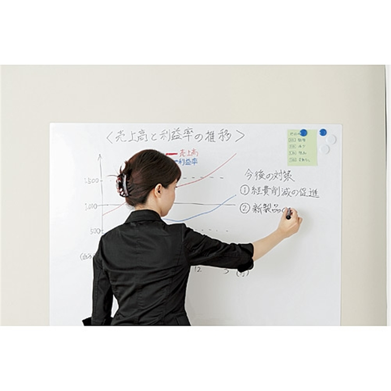 サニー ラクスルー SNRS-FG100 900×1200 1個(ご注文単位1個)【直送品】