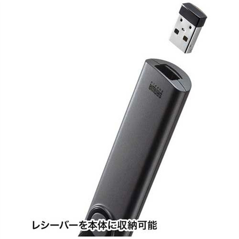 サンワサプライ パワーポインター LP-RF115GM 1個(ご注文単位1個)【直送品】