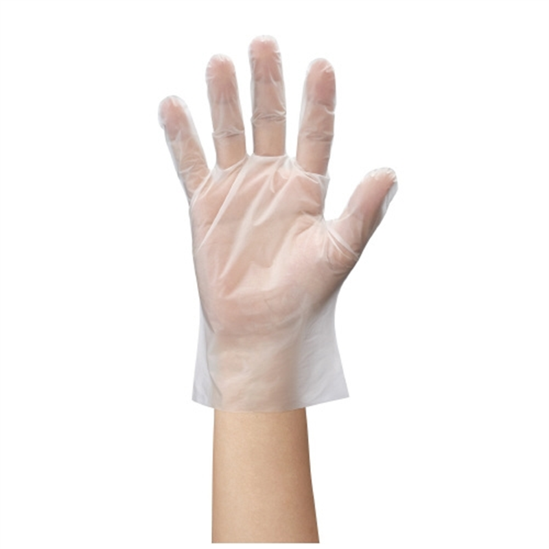 ショーワグローブ つかいきりグローブ 半透明L 100枚X24箱 1個(ご注文単位1個)【直送品】