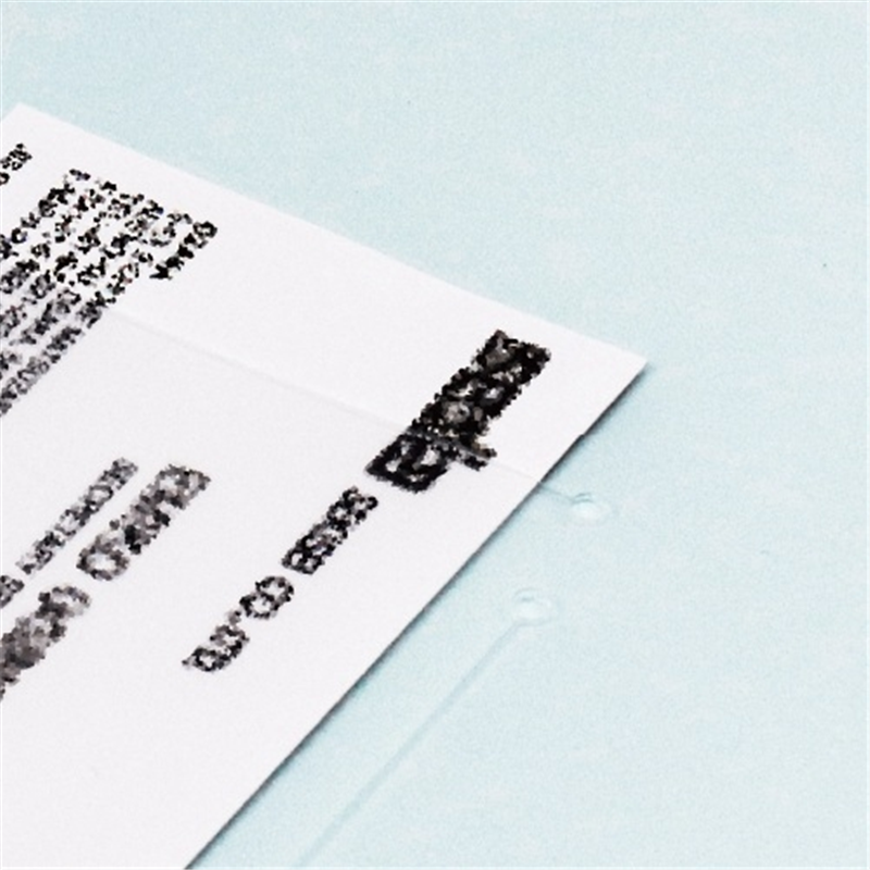 セキセイ クリップファイル FB-2016 A4E ホワイト 1個（ご注文単位1個）【直送品】