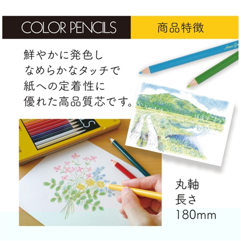 トンボ鉛筆 色鉛筆 CB-NQ24C 24色 缶入 1個(ご注文単位1個)【直送品】