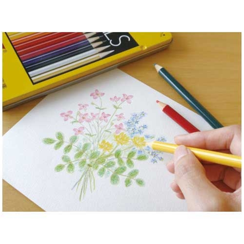 トンボ鉛筆 色鉛筆 CB-NQ36C 36色 缶入 1個(ご注文単位1個)【直送品】