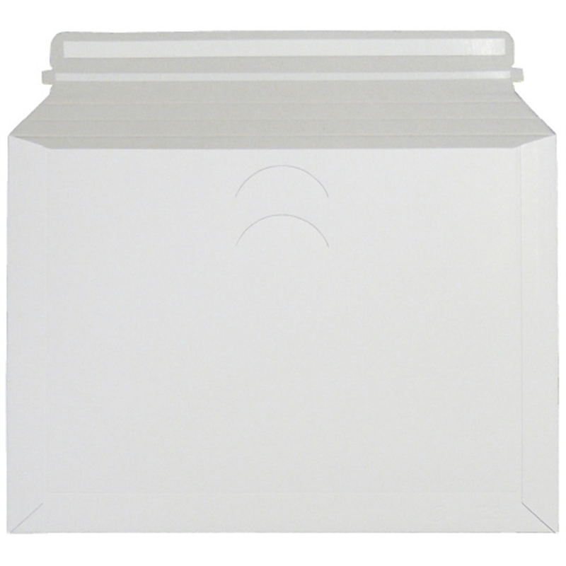 フロンティア デルパックお徳用 B4無地 25枚 DP2803 1個（ご注文単位1個）【直送品】