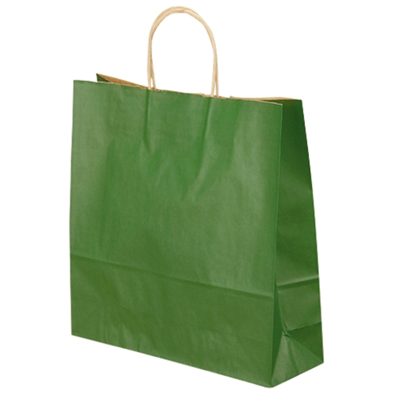 ベルベ 手提袋 T-6 1664 緑 50枚 1個（ご注文単位1個）【直送品】