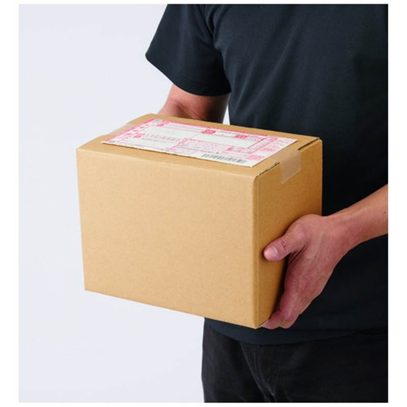 森紙業 宅配サイズダンボール 3辺60cm 20枚 1個(ご注文単位1個)【直送品】