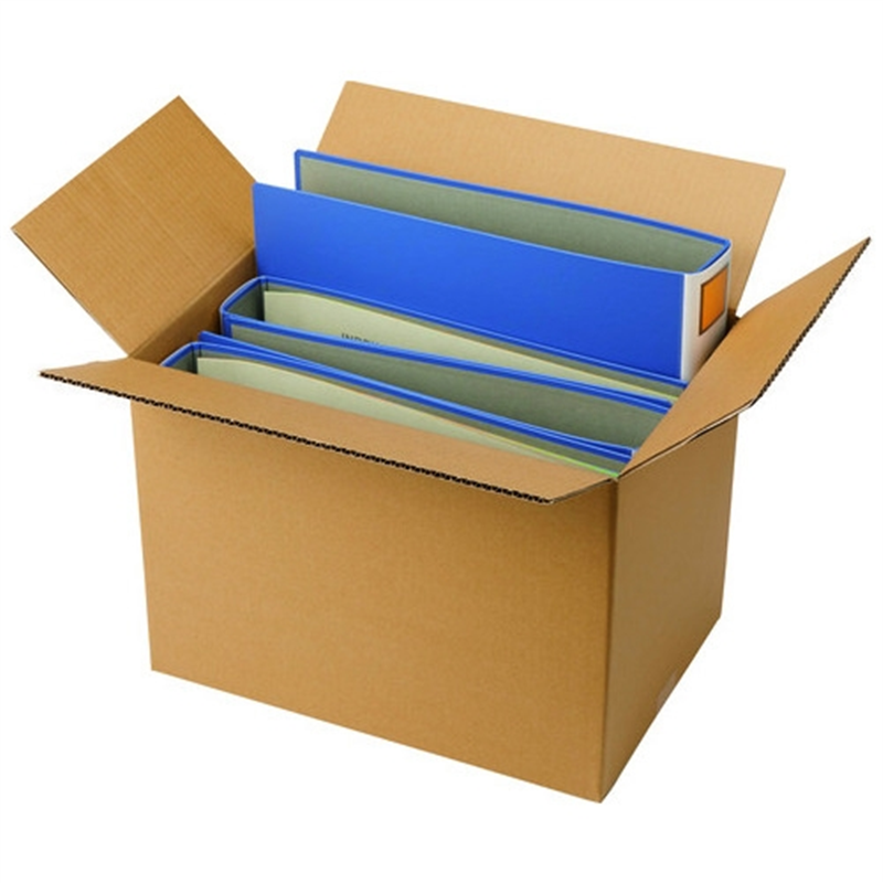 森紙業 保存・保管用ダンボール A3 10枚 1個(ご注文単位1個)【直送品】