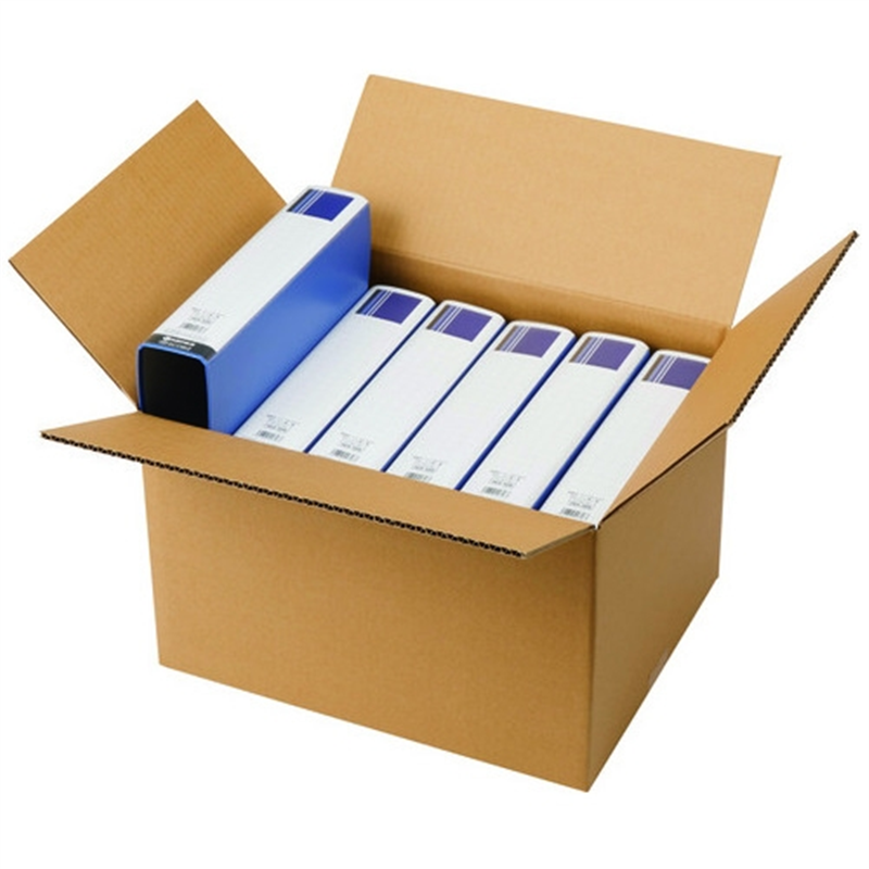 森紙業 保存・保管用ダンボール A4 10枚 1個(ご注文単位1個)【直送品】