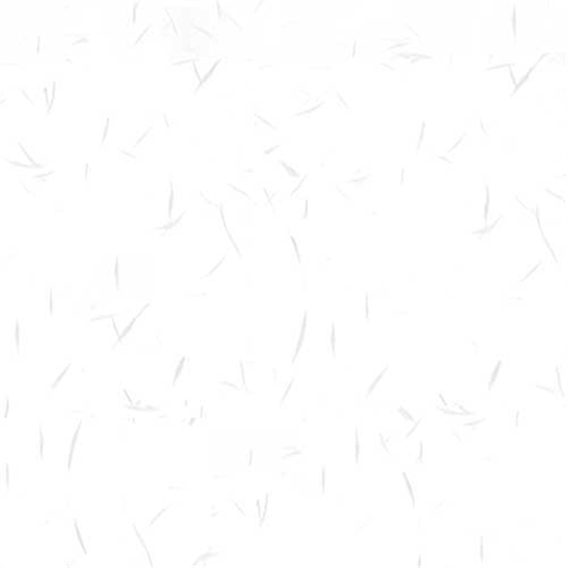 長門屋商店 和み紙 ナ-751V B5 白 100枚 1個（ご注文単位1個）【直送品】