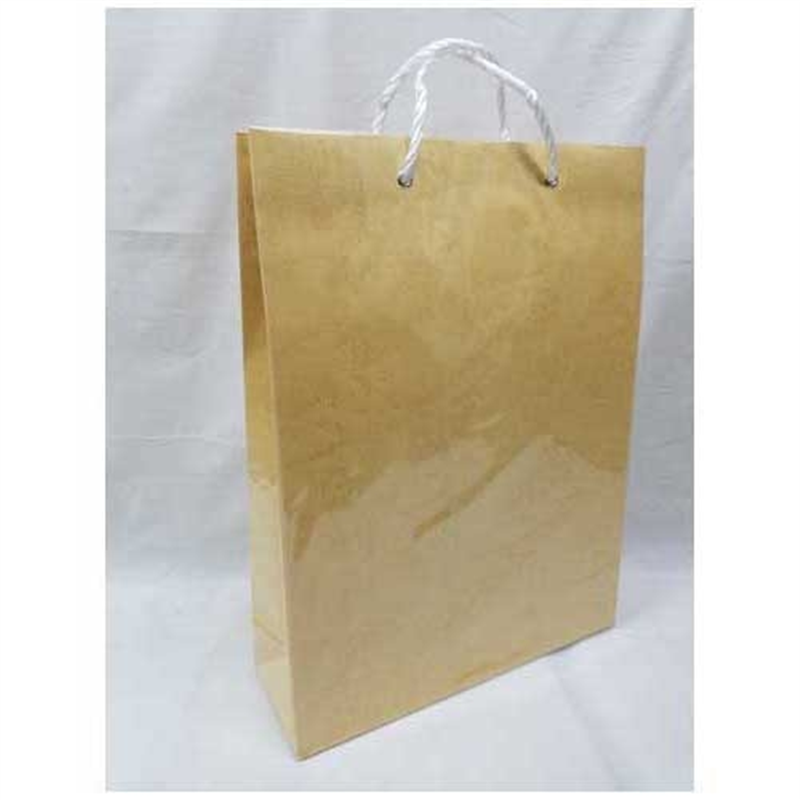 東京ユニオン 手提袋 ジャンボバック No-170 ぞうげ 1個(ご注文単位1個)【直送品】