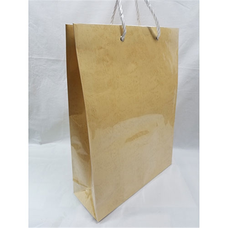 東京ユニオン 手提袋 大コンテナ No-180 ぞうげ 1個(ご注文単位1個)【直送品】