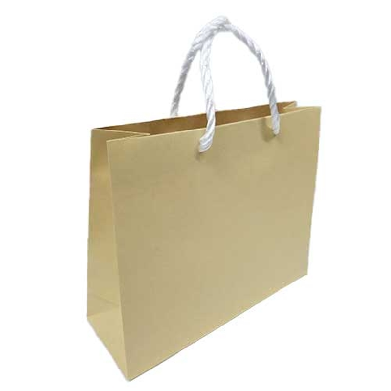 東京ユニオン ペーパークラフト 604 小 10枚入 1個(ご注文単位1個)【直送品】