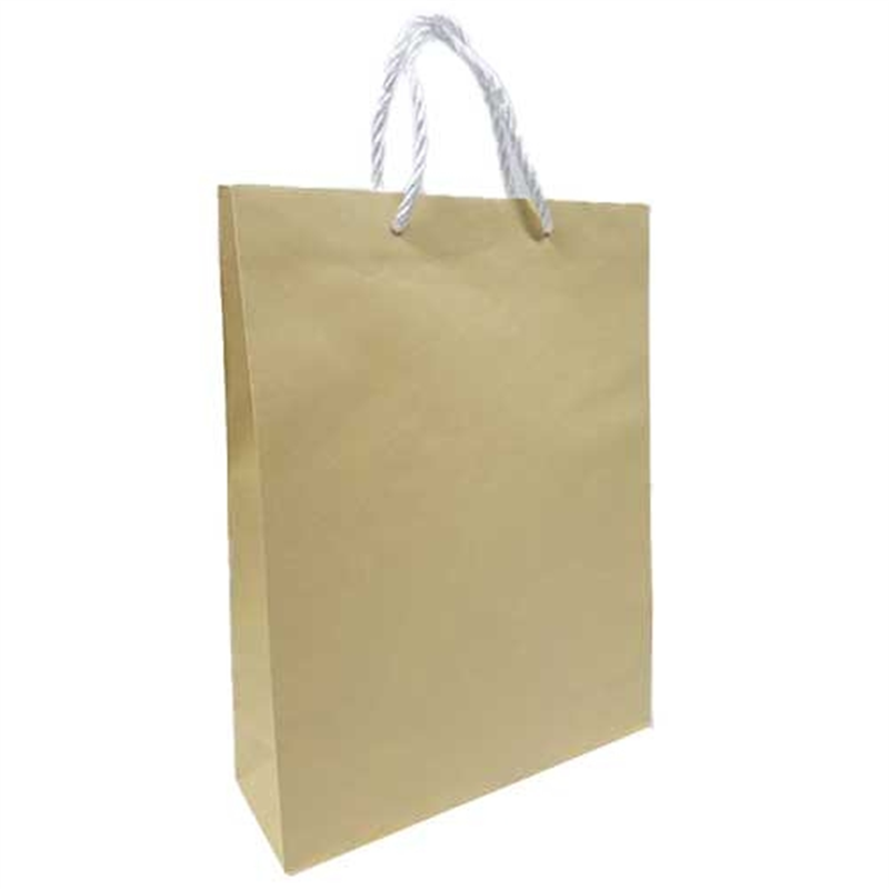 東京ユニオン ペーパークラフト 704 大 10枚入 1個(ご注文単位1個)【直送品】