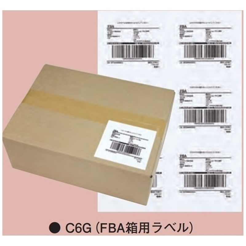 東洋印刷 ナナ コピー用ラベル C6G A4/6面 500枚 1個（ご注文単位1個）【直送品】