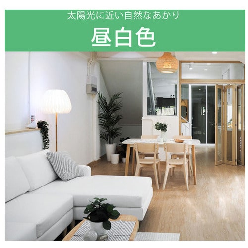 オーム電機 直管LED 20形グロー方式 昼白色 1本（ご注文単位1本）【直送品】