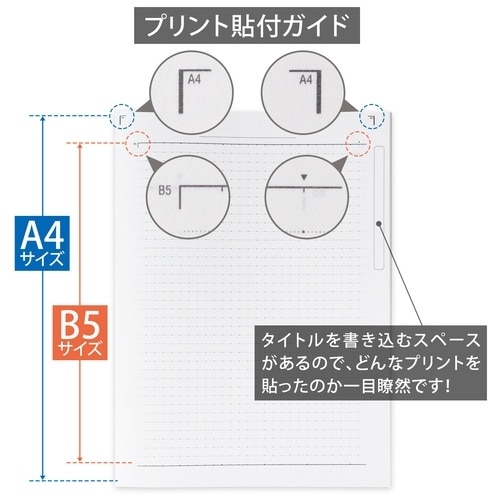 キョクトウ College A4ワイド ヨコ37行 ブルー CLW2(ご注文単位1個)【直送品】