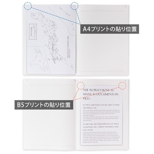 キョクトウ College A4ワイド ヨコ37行 ブルー CLW2(ご注文単位1個)【直送品】