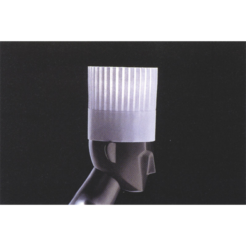 パリスハットPH-30 (10枚入) 1個(ご注文単位1個)【直送品】