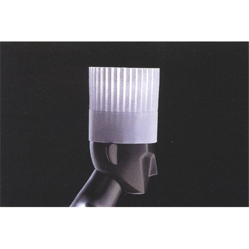 パリス ハット 薄型 PH-201 (10枚入) 1個(ご注文単位1個)【直送品】