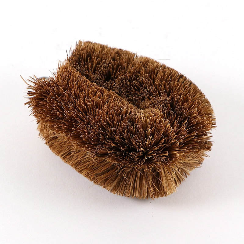 正直束子パーム小 1個(ご注文単位1個)【直送品】