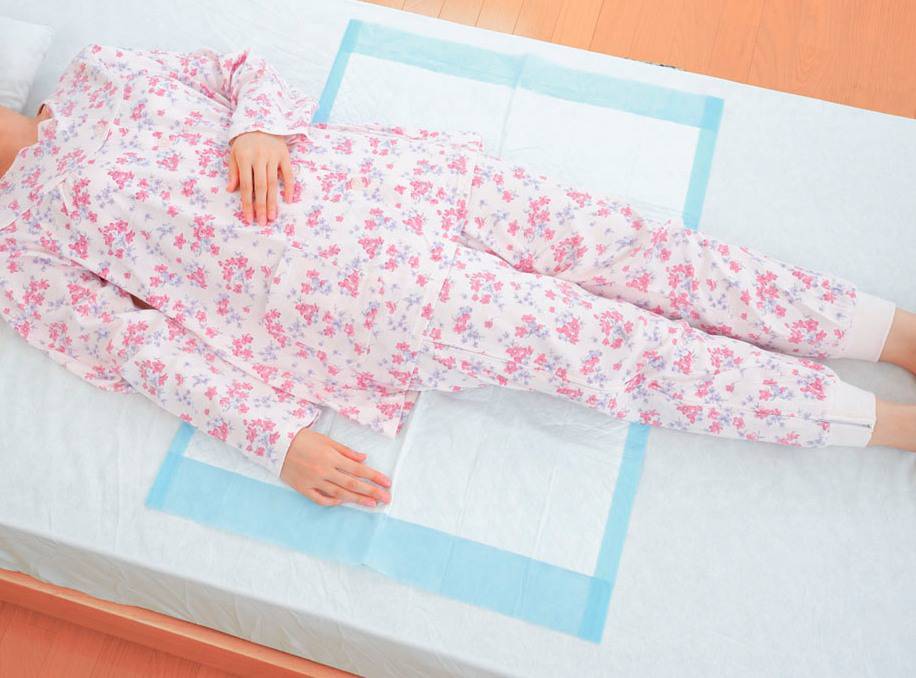 ウェルファン テイコブ　使い捨て防水シーツ（6枚入） 1個（ご注文単位1個）【直送品】