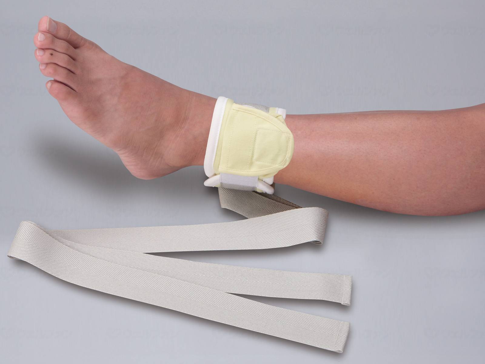 ウェルファン プライム予防バンドⅡ(1個入)/クリーム/ラージ 1個（ご注文単位1個）【直送品】