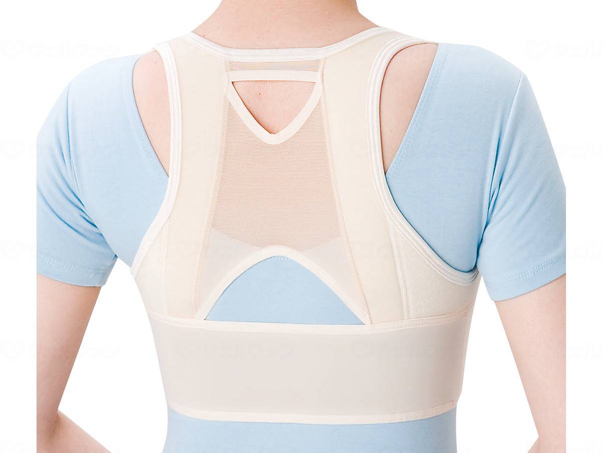 ウェルファン シャキッと姿勢補正ベルト/ベージュ/L 1個（ご注文単位1個）【直送品】