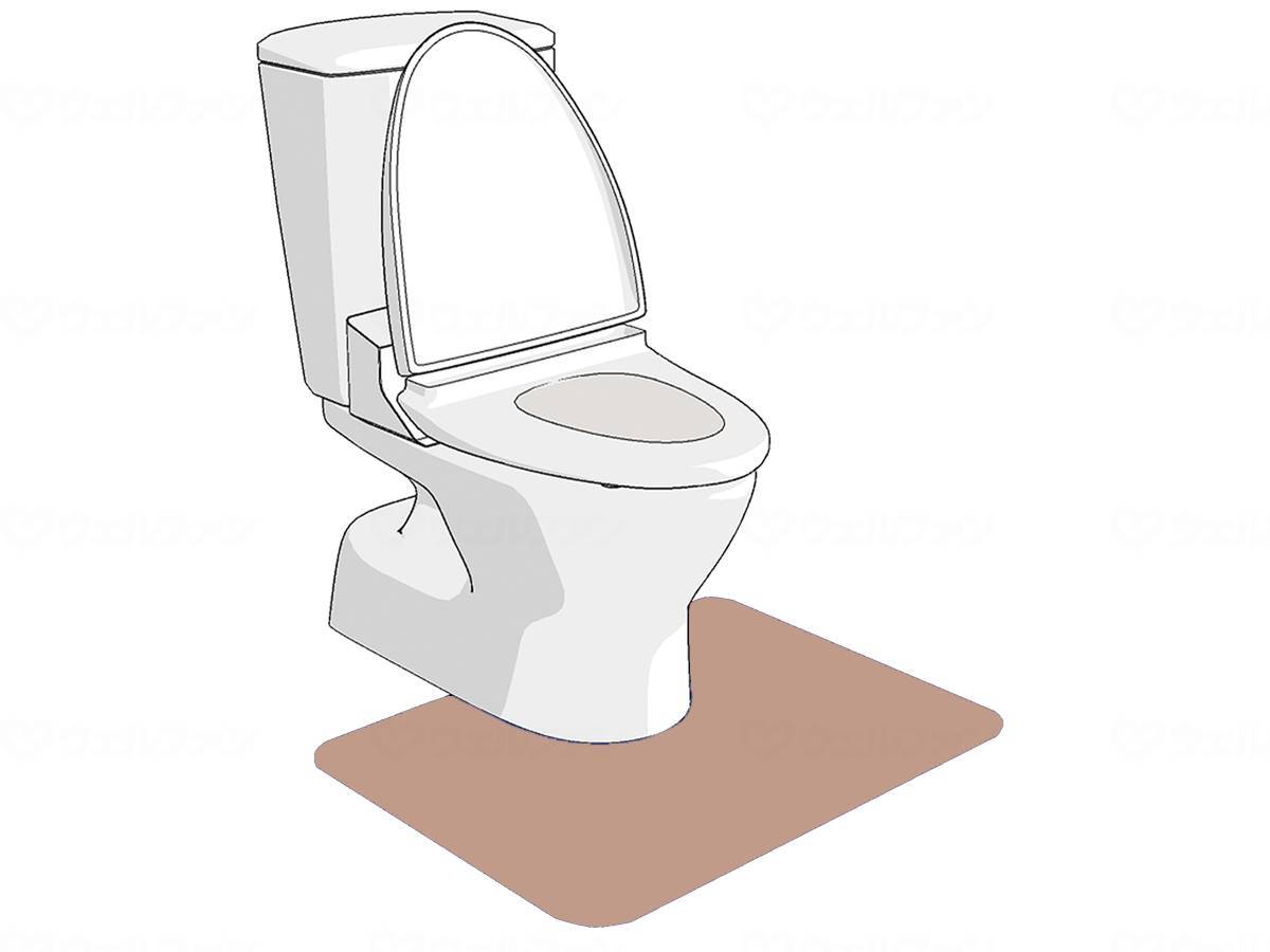 ウェルファン ゼオシーター ブラウン S 1個（ご注文単位1個）【直送品】