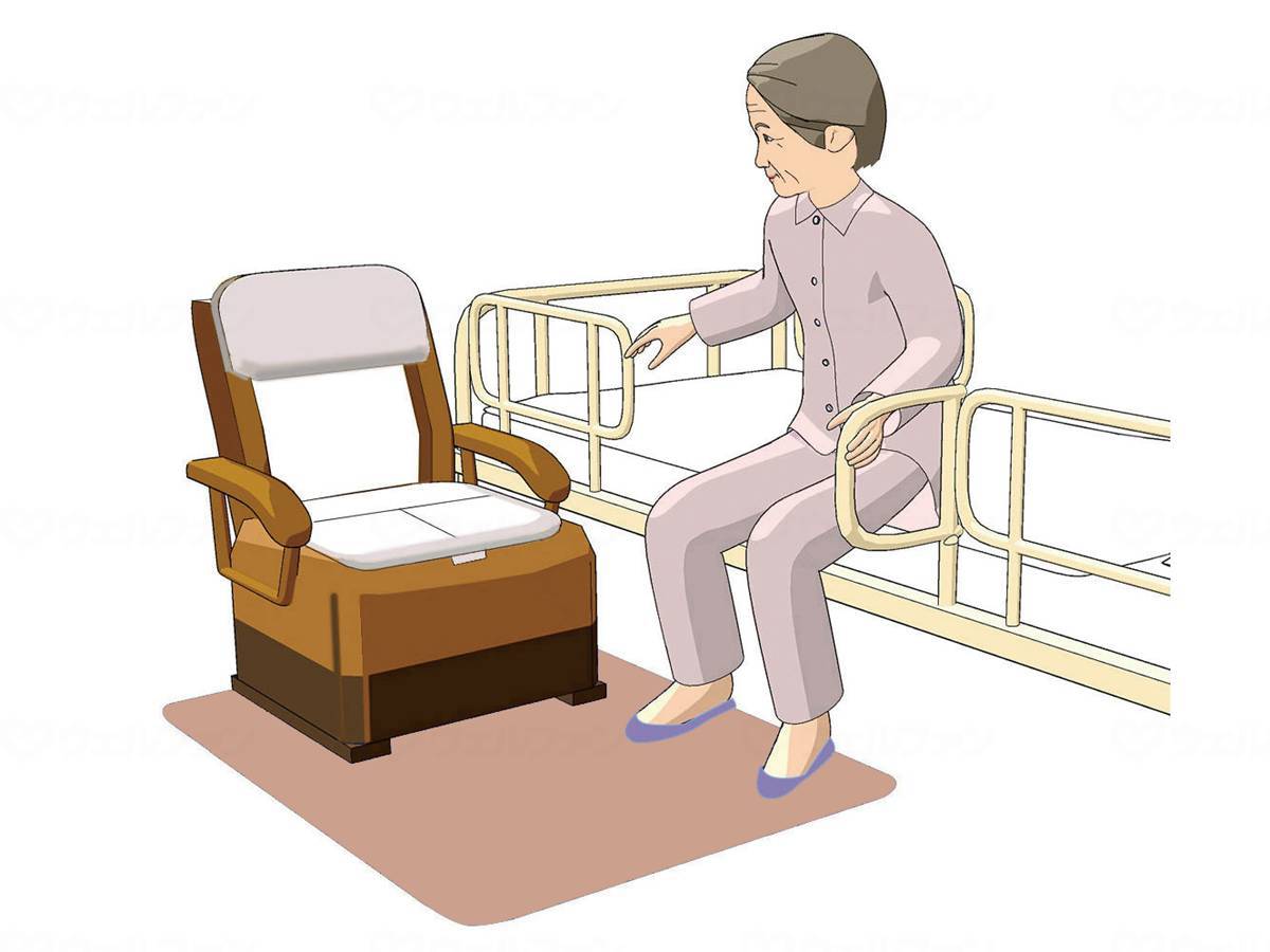 ウェルファン ゼオシーター ブラウン L 1個(ご注文単位1個)【直送品】