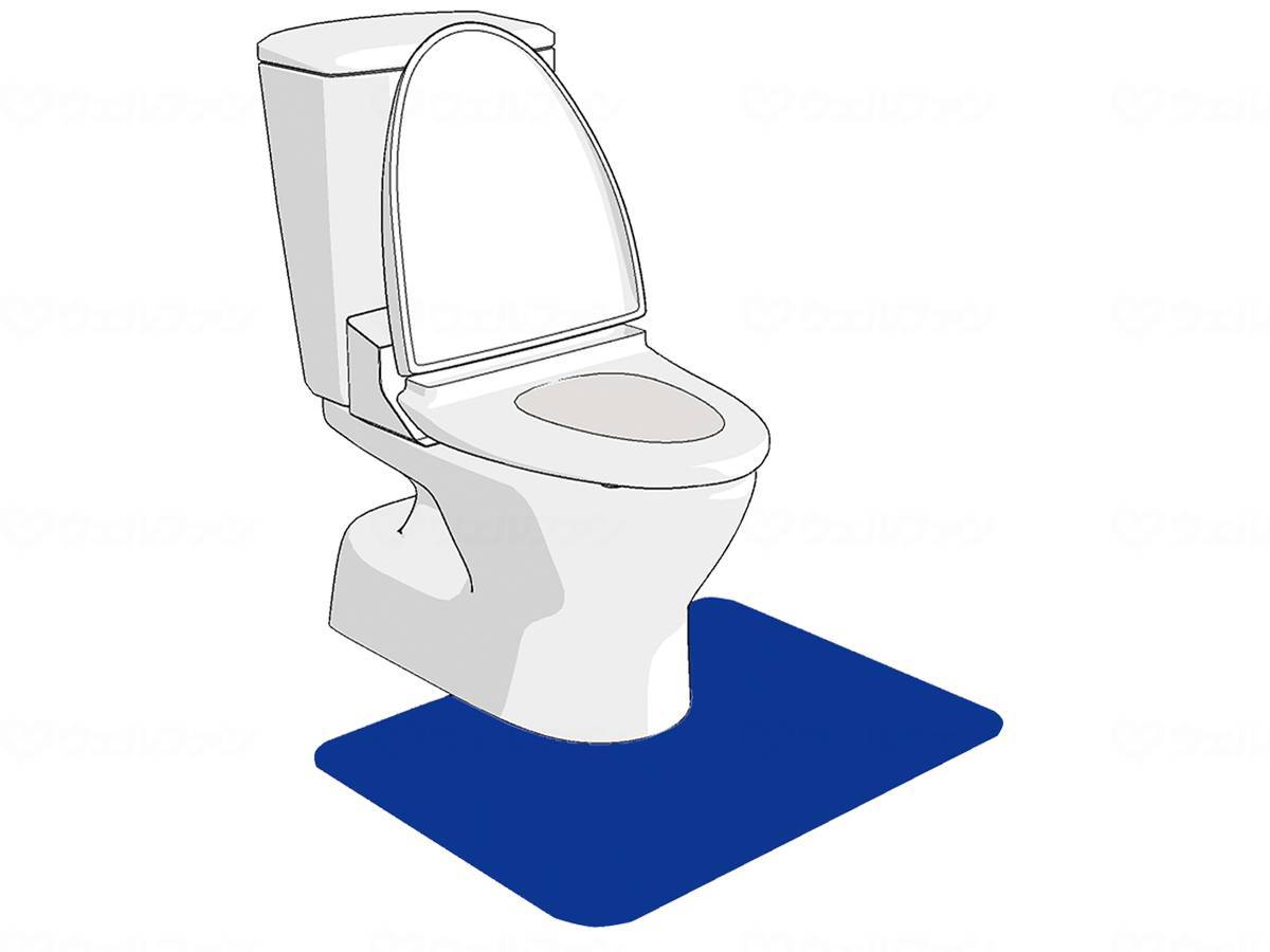 ウェルファン ゼオシーター ブルー 55cm×60cm（洋式） 1個（ご注文単位1個）【直送品】