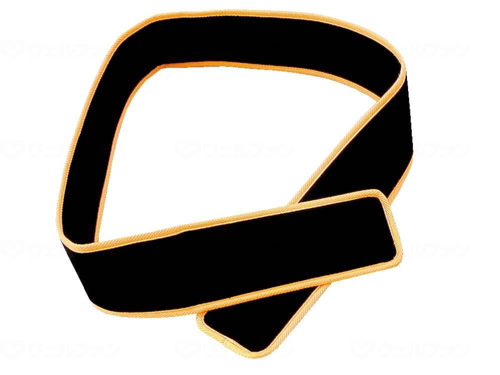 ウェルファン パイルベルト オレンジ 1個（ご注文単位1個）【直送品】