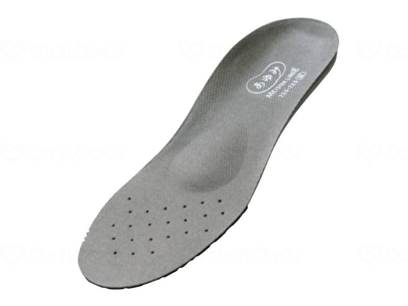 ウェルファン カップインソール アーチサポート付マイスターリニエ 3E/グレー/左LL 1個（ご注文単位1個）【直送品】