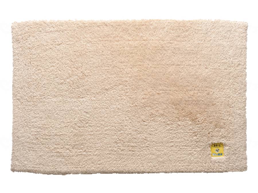 ウェルファン 乾度良好Ag+バスマット/ベージュ/500×800 1枚（ご注文単位1枚）【直送品】