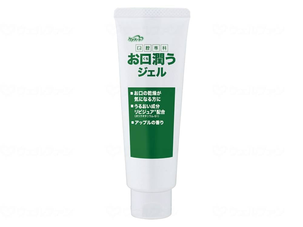 ウェルファン ケアハート口腔専科 お口潤うジェル/個/80g 1個（ご注文単位1個）【直送品】