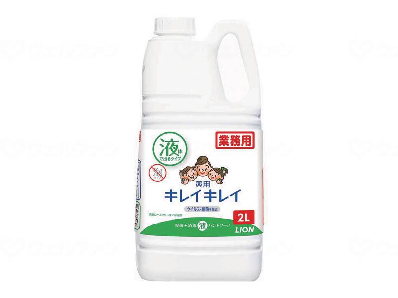 ウェルファン キレイキレイ薬用ハンドソープ /本/2L 1本（ご注文単位1本）【直送品】