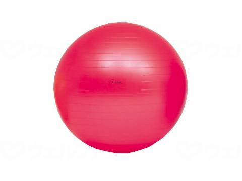 ウェルファン ボディーボール/赤/55 1個（ご注文単位1個）【直送品】