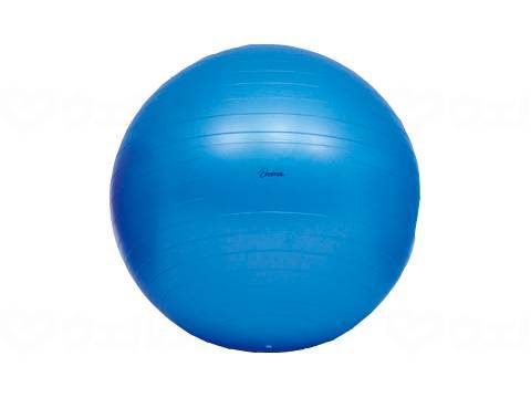 ウェルファン ボディーボール/青/65 1個（ご注文単位1個）【直送品】