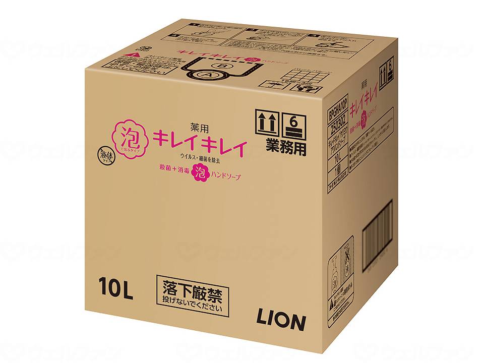 ウェルファン キレイキレイ薬用泡ハンドソープ シトラスフルーティー/ケース/10L 1本（ご注文単位1本）【直送品】
