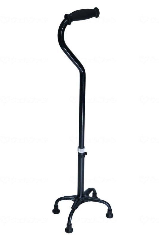 ウェルファン テトラ・ケイン α 青墨 S 1個(ご注文単位1個)【直送品】