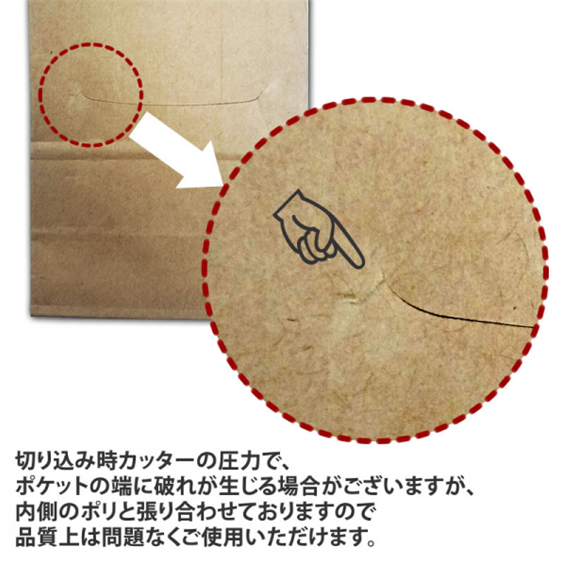 ニコノス ポケット・ワイヤー付角底袋200g クラフト NWP-250 100枚入/袋（ご注文単位5袋）【直送品】