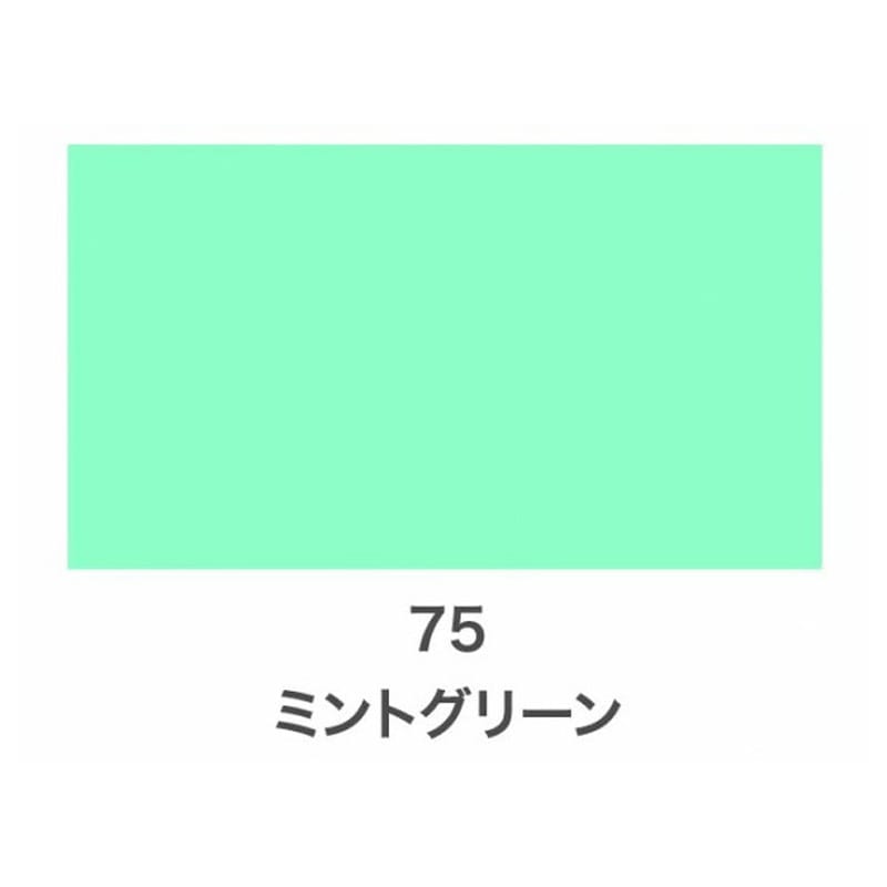 アサヒペン 901454 クリエイティブカラースプレー 300mL ミントG 1個(ご注文単位1個)【直送品】