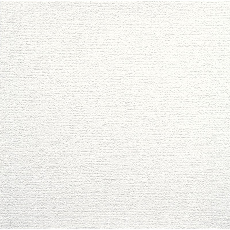 アサヒペン 9019486 天井用パネルカベ紙 18枚入り TP-24 1個(ご注文単位1個)【直送品】