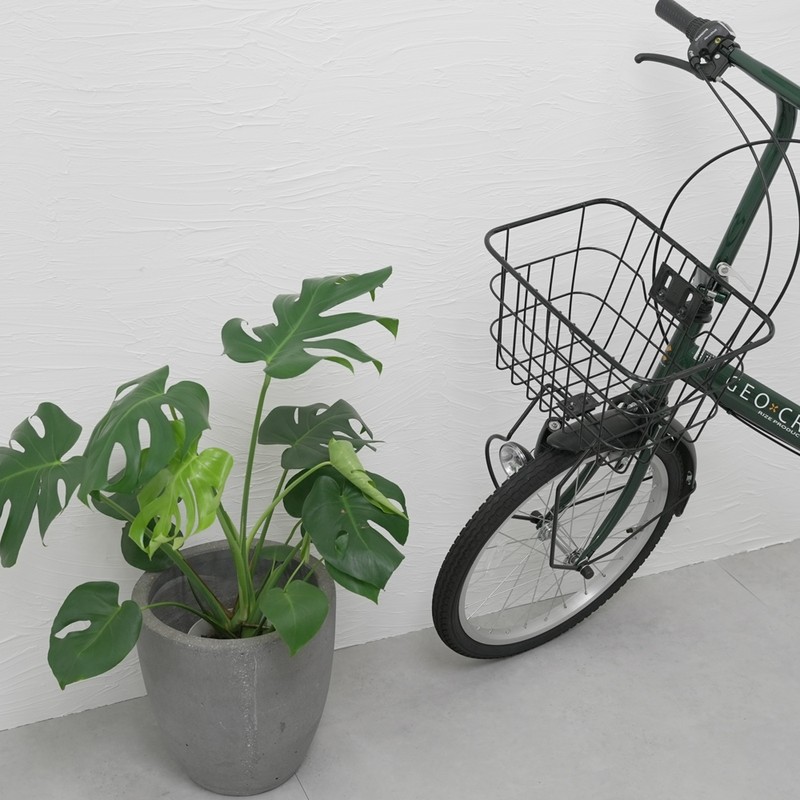 アサヒペン 9019051 ヌリ・デコ・ウォール 5L WH 1個（ご注文単位1個）【直送品】