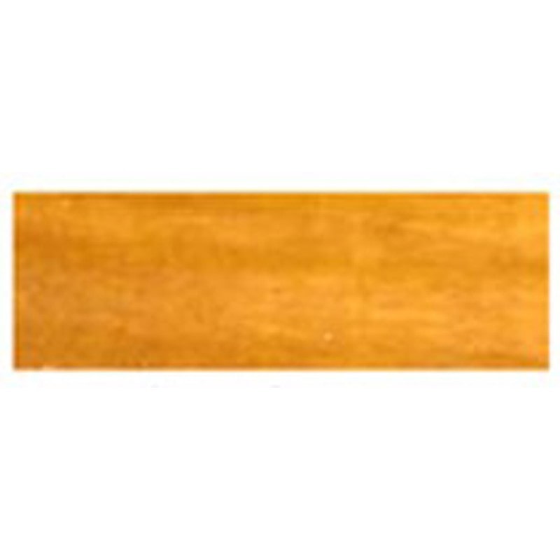 アサヒペン 9018186 水性ウレタンニス 100ML ゴールデンオーク 1個（ご注文単位1個）【直送品】