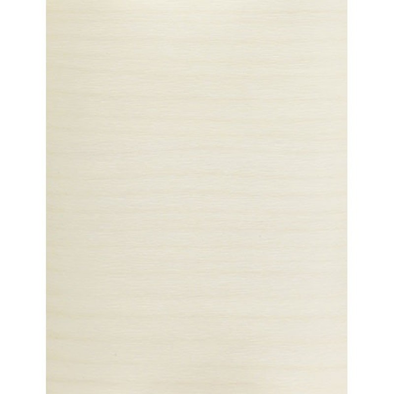 アサヒペン 9015254 REALA 90×90cm RL-31 1個(ご注文単位1個)【直送品】