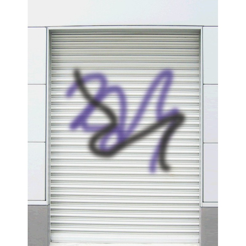 アサヒペン 901289 強力らくがき落としスプレー 420mL D084 1個(ご注文単位1個)【直送品】